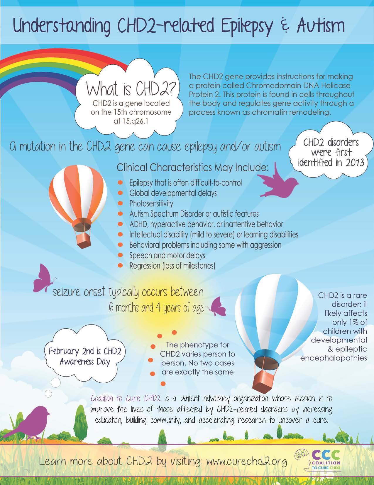 infographic about chd2 English